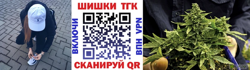 Каннабис сатива Протвино